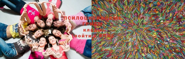 крисы Бронницы