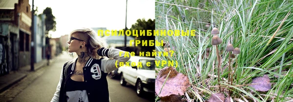 амф Кукмор