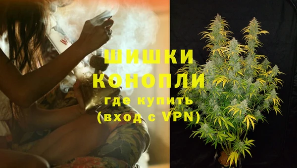 крисы Бронницы